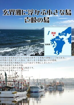 ＼半額／干物セット 7種類 のどぐろ 送料無料 あじ いわし イワシ ほっけ 丸干し さば みりん干し 塩 開き 鯖 さば むつ アカムツ 関サバ 関さば 玄界灘 日本海 訳あり お歳暮[冷凍] 1位 買い回り 買いまわり ポイント消化 h50 観光地応援 バーベキュー キャンプ