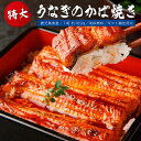 宮崎県産 鰻のかば焼き 1尾 2人前 父の日 大サイズ 160g 国産ウナギ 送料無料 うなぎ 鰻 丑の日 夏 買い回り 買いまわり ポイント消化 バーベキュー プレゼント 実用的 h50h 御中元 お中元 中元