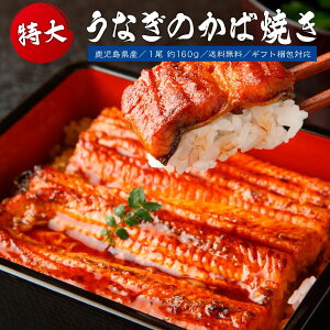 宮崎県産 鰻のかば焼き 1尾 2人前 父の日 大サイズ 160g 国産ウナギ 送料無料 うなぎ 鰻 丑の日 夏 買い回り 買いまわり ポイント消化 バーベキュー プレゼント 実用的 h50h 御中元 お中元 中元