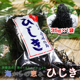 【安心の国産！長崎県壱岐産】 ひじき 長ひじき 35g 買い回り 買い周り 買いまわり 【ヒジキ 国産 天然 ひじき煮 ひじきご飯 ひじきハンバーグ 海藻 おかず グルメ 送料無料 ポイント消化】 SALE セール 父の日 御中元 お中元 中元