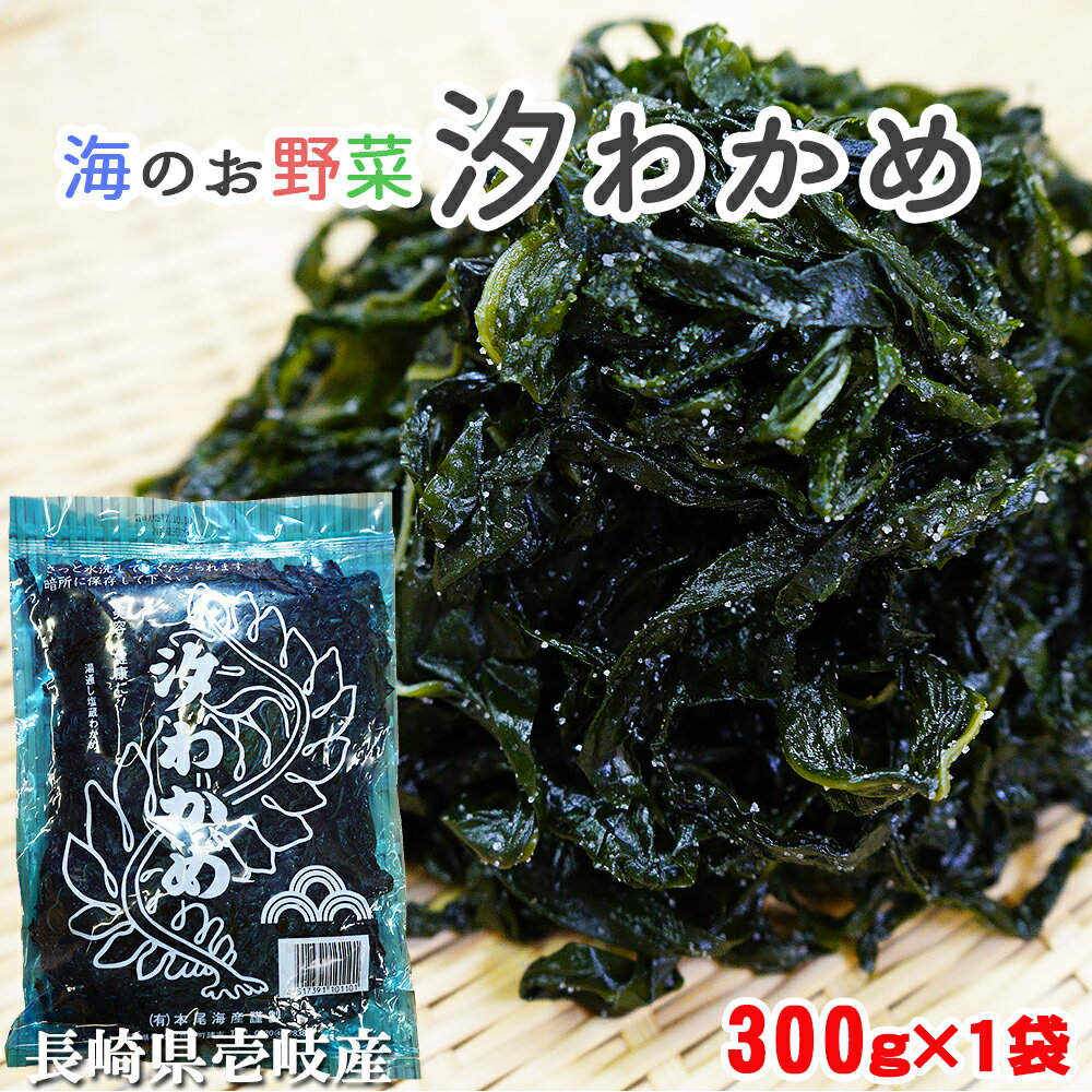 【わかめ 国産】 汐ワカメ 300g 【汐わかめ ワカメ 海藻 玄界灘 おかず グルメ 味醂 長崎県 壱岐】 バーベキュー プレゼント 実用的 SALE セール 父の日 御中元 お中元 中元