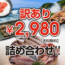 干物 訳あり セット お試し 海鮮 ひもの 詰め合わせ 福袋 2980円セット 送料無料 バーベキュ ...