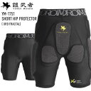 20-21 A.R.K SG HIP PROTECTOR SHORT スノーボード プロテクター ヒッププロテクター スノボ ヒッププロテクター ヒップ プロテクター ヒップパッド AR12010