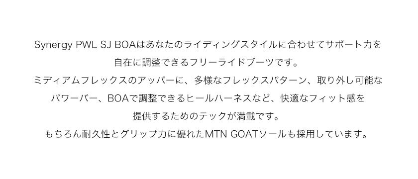 25-26 2026 SALOMON サロモン SYNERGY PWL SJ BOA シナジー ボア スノーボード ブーツ メンズ