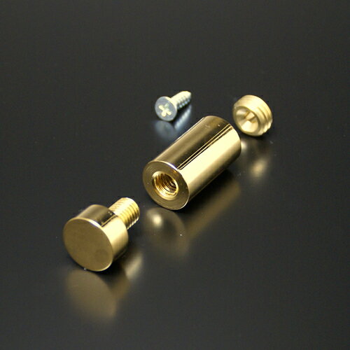 化粧ビス 15mm パイプ長 30mm セット 真鍮製 サインボード 装飾ビス 飾りビス フラットタイプ EPA-A15F-30 ゴールド