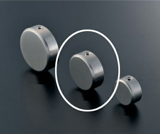 化粧ナット 化粧キャップ ステンレス製 サインボード 装飾ビス 飾りビス EPO-PL32 VT加工（非鏡面）