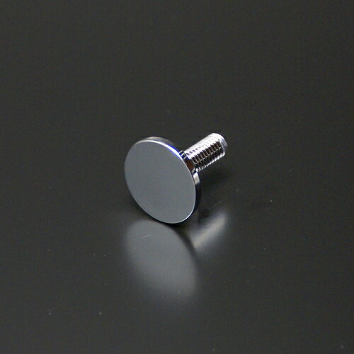 化粧ビス M6 20mm ボルト長 16mm 真鍮製 サインボード 装飾ビス 飾りビス Tフラットタイプ EPS-T20F-16 クローム