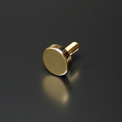 ѥӥ M6 30mm ܥĹ 30mm  ܡ ӥ ӥ եåȥ EPS-E30F-30 