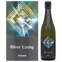 e Silver Lining đ hߐi̕29j720ml [2024]yv①z