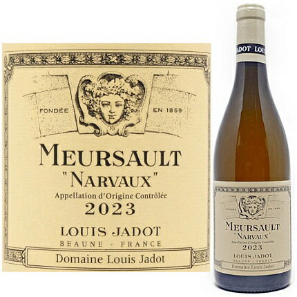 ��륽�����졦�ʥ���� �� [2023]ǯ�ʥ륤������ɡ�