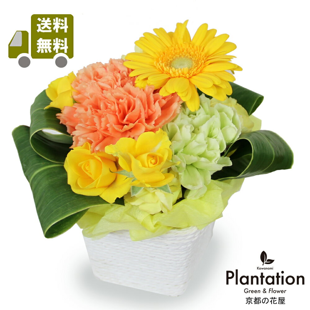 乐天商城 - 【母の日 プレゼント 2026】 ビタミンカラー フラワーアレンジメント　 送料無料 カーネーション　ギフト 生花　黄色 オレンジ バラ ガーベラ 花 お祝い 義母 50代 60代 70代 80代【京都の花屋カワナミプランテーション】