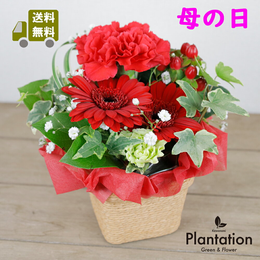 乐天商城 - 【母の日】送料無料 溢れる感謝を贈る 赤いお花のアレンジメント（カーネーション・ガーベラ）【京都の花屋カワナミプランテーション】