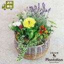 【送料無料】季節のお花 寄せ植えセット 【立て札&メッセージカード無料】