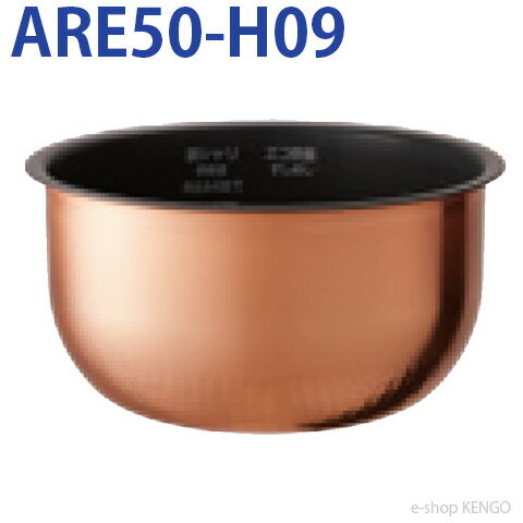 ѥʥ˥åARE50-H09 [] ARE50-H09