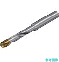 SANDVIK 860.1-0340-017A1-GM(X1BM) コロドリル860‐GM 超硬ソリッドドリル(720) X1BM 【1本】(4)