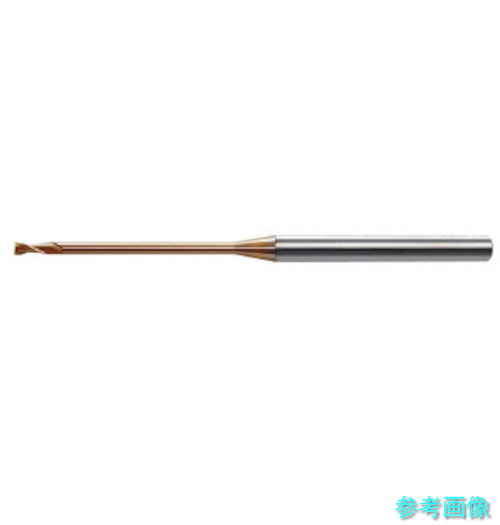 ˥ġ HLS2006100 Ķťɥߥ 󥰥ͥå 0.6ͭĹ10 1ܡ