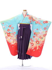 https://thumbnail.image.rakuten.co.jp/@0_mall/e-kimono-rental/cabinet/enhakama/har7840000.jpg