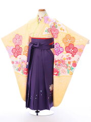 https://thumbnail.image.rakuten.co.jp/@0_mall/e-kimono-rental/cabinet/enhakama/har7861000.jpg