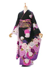 https://thumbnail.image.rakuten.co.jp/@0_mall/e-kimono-rental/cabinet/furisode/6/hacy755_f.jpg