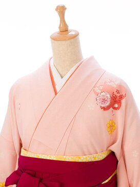 【レンタル】レンタル袴 はかま 着物 卒業袴 貸衣装 貸衣裳 女袴 袴 レンタル 送料無料 ☆新品足袋プレゼント ☆ 女袴/着物レンタル R907_E-H012-23-4