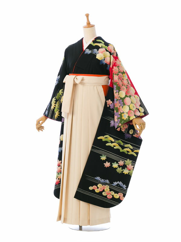 【レンタル】袴 レンタル 卒業袴 卒業式 はかま 袴レンタル 振袖袴 袴セット 着物 代引手数料無料 新品足袋プレゼント 0S0091 HDLY619