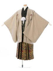 https://thumbnail.image.rakuten.co.jp/@0_mall/e-kimono-rental/cabinet/jn/haq/haqb008_f.jpg