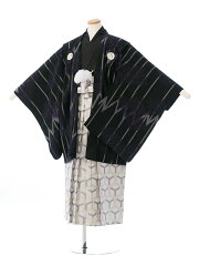 https://thumbnail.image.rakuten.co.jp/@0_mall/e-kimono-rental/cabinet/jn/haq/haqb016_f.jpg