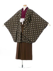 https://thumbnail.image.rakuten.co.jp/@0_mall/e-kimono-rental/cabinet/jn/haq/haqb061_f.jpg