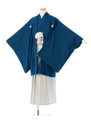https://thumbnail.image.rakuten.co.jp/@0_mall/e-kimono-rental/cabinet/jn/haq/haqb11d_f.jpg