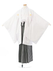 https://thumbnail.image.rakuten.co.jp/@0_mall/e-kimono-rental/cabinet/jn/haq/haqb15c_f.jpg