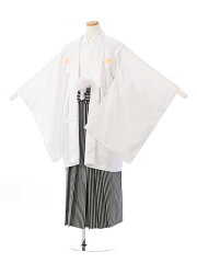 https://thumbnail.image.rakuten.co.jp/@0_mall/e-kimono-rental/cabinet/jn/haq/haqb15d_f.jpg