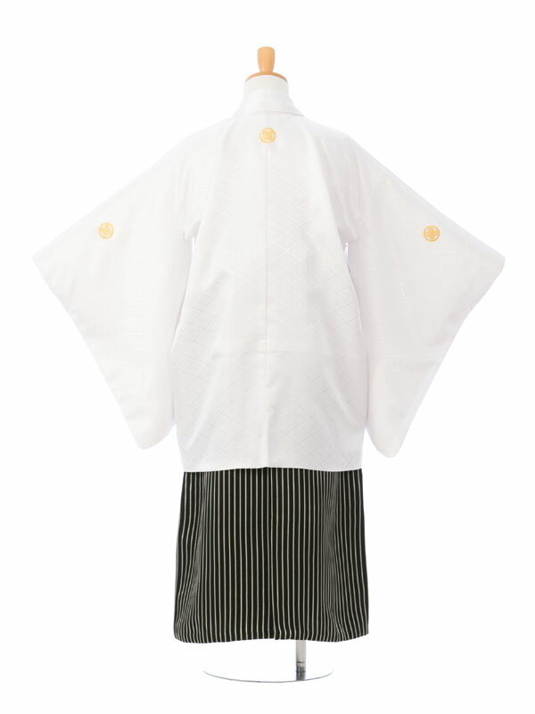 【レンタル】 卒業式 袴レンタル ジュニア着物男の子 結婚式 卒業式 1/2成人式 着物レンタル きもの小学生 送料無料 新品足袋プレゼント フルセット 男の子 羽織袴 小学生 はかま HAQB15P