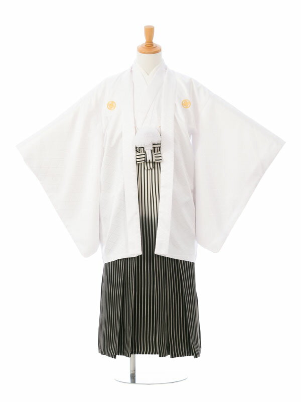 【レンタル】 卒業式 袴レンタル ジュニア着物男の子 結婚式 卒業式 1/2成人式 着物レンタル きもの小学生 送料無料 新品足袋プレゼント フルセット 男の子 羽織袴 小学生 はかま HAQB15P