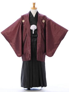 【レンタル】 卒業式 袴レンタル ジュニア着物男の子 結婚式 卒業式 1/2成人式 着物レンタル きもの小学生 往復送料無料 新品足袋プレゼント フルセット 男の子 羽織袴 小学生 はかま bv-076キャンペーン