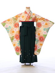 https://thumbnail.image.rakuten.co.jp/@0_mall/e-kimono-rental/cabinet/jnh/har1350000.jpg