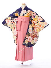 https://thumbnail.image.rakuten.co.jp/@0_mall/e-kimono-rental/cabinet/jnh/harg025000.jpg