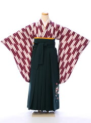 https://thumbnail.image.rakuten.co.jp/@0_mall/e-kimono-rental/cabinet/jnh/harg063000.jpg