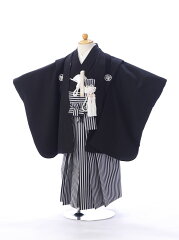 https://thumbnail.image.rakuten.co.jp/@0_mall/e-kimono-rental/cabinet/shichigosan/3b/haok301000.jpg