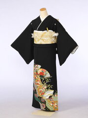 https://thumbnail.image.rakuten.co.jp/@0_mall/e-kimono-rental/cabinet/tome/haa0074000.jpg