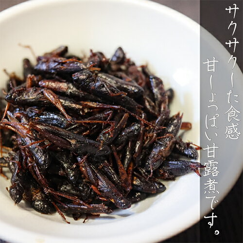 【送料無料】懐かしい田舎の味 いなご甘露煮 75g×3個 イナゴ ご飯のお供 佃煮 和風惣菜 タンパク質 ミネラル カルシウム お酒の肴 いなご佃煮 季折