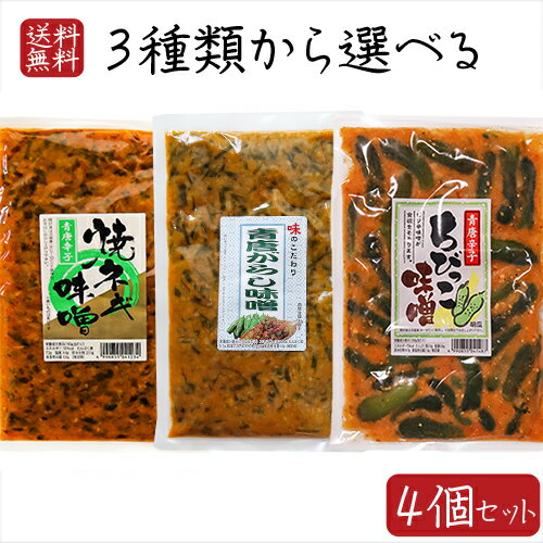 【送料無料】青唐辛子味噌3種類から選べる4個セット 青唐辛子味噌250g 青唐胡瓜ちびっこ味噌260g 青唐焼ネギ味噌250g 青とんがらし漬け 青唐辛子 青唐がらし 青とうがらし ご飯のお供 青唐がらし味噌 信州味噌 ピリ辛 惣菜 ちびっ子胡瓜 ギフト プレゼント 季折