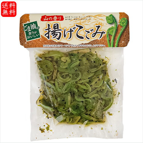 【送料無料】揚げこごみ 200g 和風惣