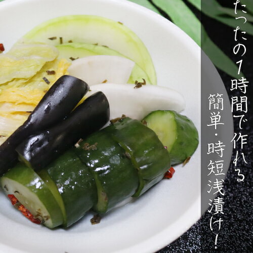 【送料無料】国産焼塩使用！あさ漬け塩 250g×5個 芽かぶ入り 調理塩 焼魚 肉料理 天ぷら 野菜炒め 浅漬けの素 万能調味料 漬物 季折