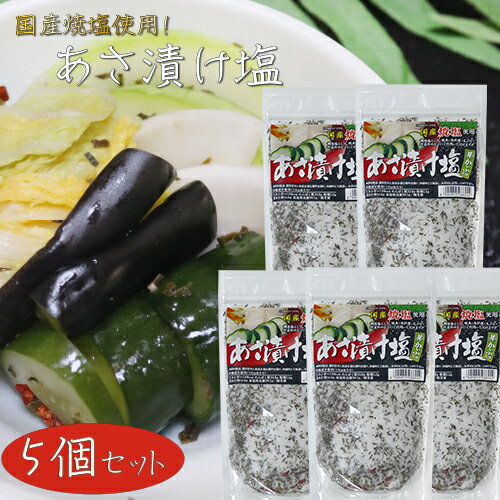 【送料無料】国産焼塩使用!あさ漬け塩 250g×5個 芽かぶ入り 調理塩 焼魚 肉料理 天ぷら 野菜炒め 浅漬けの素 万能調味料 漬物 季折