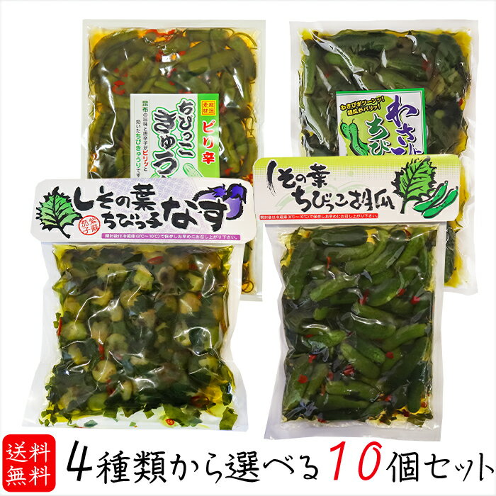 【送料無料】ちびっこシリーズ4種類から選べる10個セット しその葉ちびっこ胡瓜350g しその葉ちびっ子なす260g わさびちびっこ胡瓜300g ぴり辛ちびっこ胡瓜300g ちびっこキュウリ 小なす 紫蘇の葉 わさび茎 わさび葉 漬物 ナス ご飯のお供 おつまみ ちびっ子胡瓜 和風惣菜