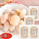 【送料無料】甘納豆 白いんげん 180g×4個 白いんげん豆 和菓子 お茶菓子 あまなっとう お菓子 季折 駄菓子