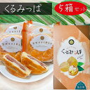 【送料無料】くるみっぱ 5個入り×5箱 パイ 胡桃の焼き菓子 お菓子 おやつ お茶菓子 プレゼント ギフト クルミ 季折