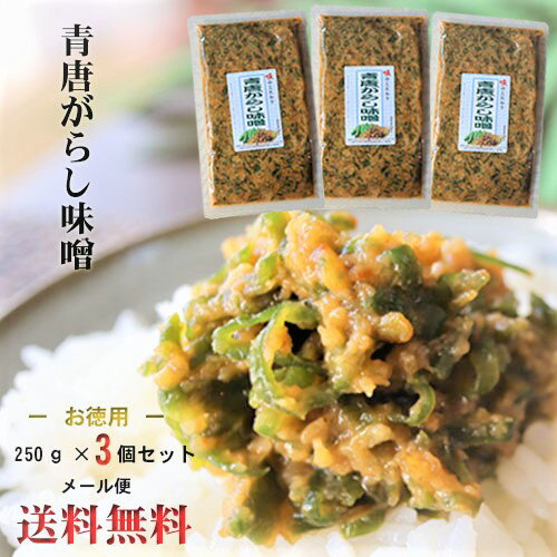 【送料無料】青唐辛子味噌 250g×3個セット 青唐がらし味噌 ご飯のお供 信州味噌 青とうがらし 味噌 青唐辛子 おかず味噌 お酒のおつまみ 万能調味料 季折