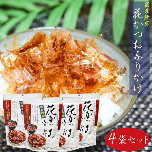 永谷園 業務用 ふりかけ詰替用 おかか 500g×1袋入｜ 送料無料 一般食品 調味料 ふりかけ 業務用