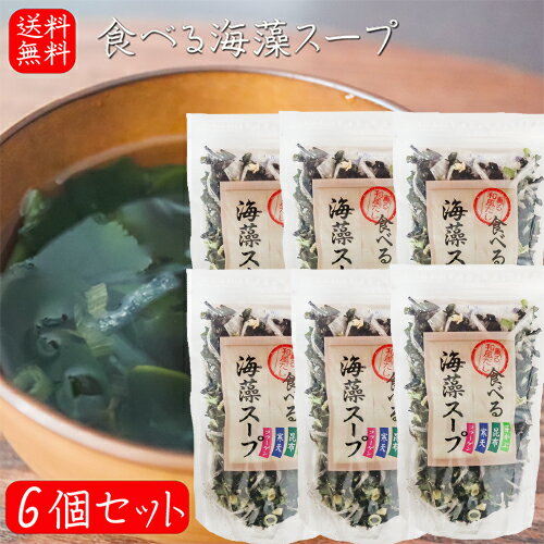 【送料無料】食べる海藻スープ 65g×